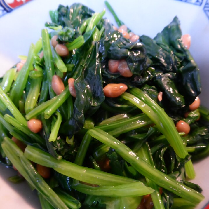 子供も喜ぶ ほうれん草の納豆和え レシピ 作り方 By わんこ 楽天レシピ 子供も喜ぶ ほうれん草の納豆和え レシピ 作り方 By わんこ 楽天レシピ
